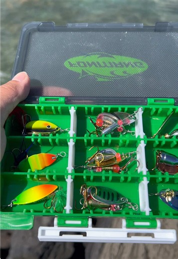 Fonmang Inline Spinner Set review – best spinner for reef fishing