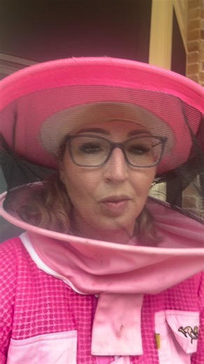 The foundress mite in a Varroa destructor infestation is the first mature female mite to invade a capped honey bee brood cell. This marks the start of a new reproductive cycle as she feeds on the developing bee pupa and lays eggs—in males first, followed by females. This process establishes a new mite family within the cell, emerging alongside the adult bee. These mites are a major factor in colony decline, weakening bees and spreading viruses which makes their management vital for ensuring the 