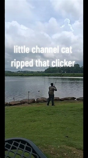 #catfish #carpfishing #carp #lake #fishing