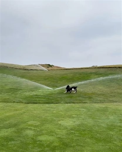 Pebble Beach Resorts on Reels