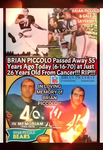 3.3K views · 31 reactions | BRIAN PICCOLO Passed Away On This Day...