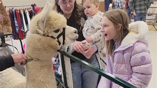 Alpaca Llama Extravaganza returns to Farm Wisconsin Jan. 10