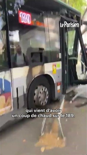 Paris: Bus driver passes out and hits a tree