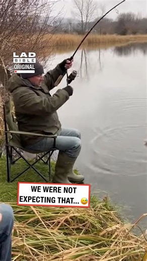 We were not expecting that 😂 #fishing #cats #funny | LADbible