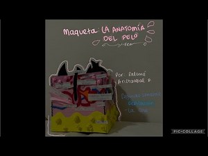 Maqueta: la anatomía del pelo