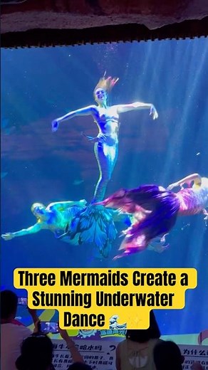 Three Mermaids Create a Stunning Underwater Dance 🌊✨