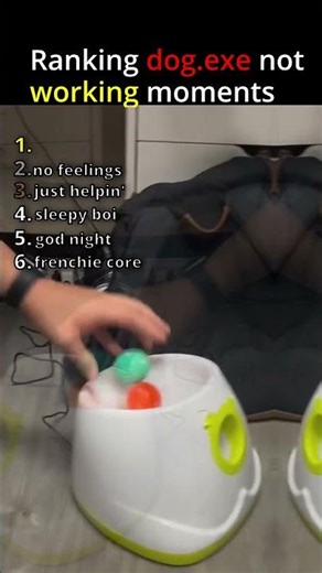 Ranking dog.exe not working moments 😂