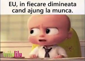 42K views · 919 reactions | Trilulilu.ro on Reels | Facebook