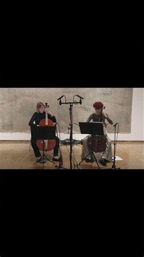 Two instruments, infinite possibilities #celloperformance