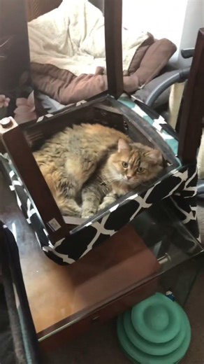 #funny #jokes #storytime