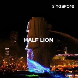 154K views · 335 reactions | Half-fish and half-lion, the iconic Merlion. Meet the myth, the legend, and the city’s national icon at the Merlion Park in Singapore. Learn about the fascinating stories behind the Merlion and Singapore. #PassionMadePossible #SingapoReimagine | VisitSingapore | Facebook