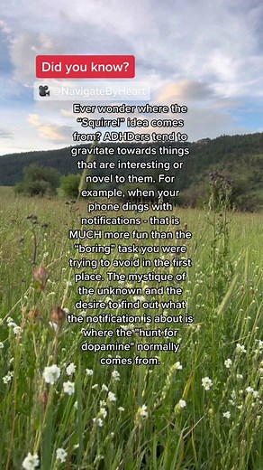 The Hunt for Dopamine in ADHD: Exploring the