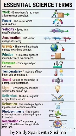 12 Essential Science Terms Explained | Science Basics for Students!