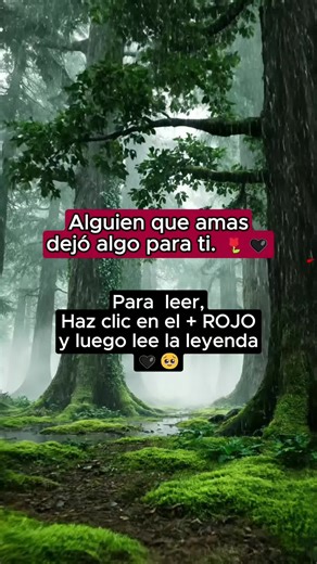 Soy yo, tu madre. Sé que extrañas esa voz, ese abrazo, esa risa. Pero quiero que sepas algo: nunca me fui del todo. Sigo a tu lado, invisible, pero presente. Te acompaño en los días grises, te susurro fuerza cuando ya no puedes más. Lo que vivimos no fue en vano. Fue real, profundo y eterno. No llores por lo que se apagó, celebra lo que aún ilumina dentro de ti. Yo estoy en paz, y mi deseo más grande es que tú también lo estés. Cierra los ojos… Si escuchas calma, es mi voz envolviéndote. #madre