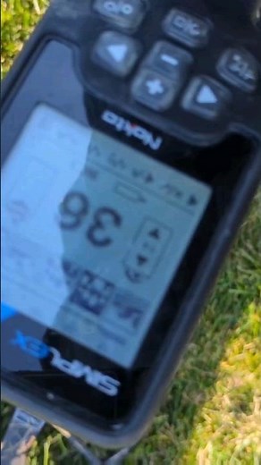 Nokta Simplex BT in action #simplex