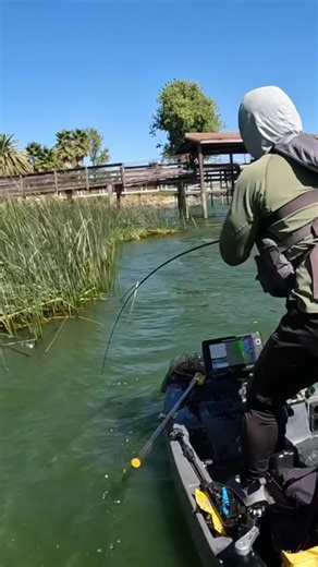 Effective Fishing Techniques with PowerBait Pit Boss