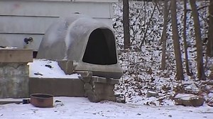 SPCA offering shelter for pets