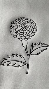 Marigold flower drawing With Pencil Only | Easy Drawing tutorial #reels | Rongdhonu Art and Drawing