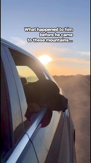 Spring is in the air. Enjoy a Sunday drive together. #Oklahoma #life #wichitamountains | Wichita Mountains Life