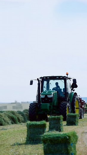 The 6125R does a good job and looks good doing it too. #2K #timothy #washington #columbiabasin #bales #johndeere #premuimhay