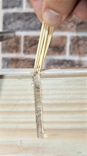 Tooth Pick Tip #tipsandtricks