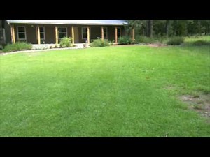 Fiskars Momentum Reel Mower Review
