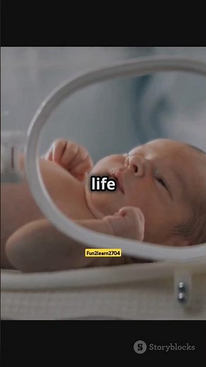 "How Is a Baby Born? 👶 Discover the Magical Journey in 60 Seconds !"