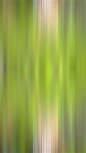 We have a color braided fishing line to match your preferences and hold up to any big fish! Shop the holiday sale today! 🎄🎁 • #Fishing #FishingLine #FishingReels #FishingRod #FishingVideos #FishingLine #BeyondBraid #SaltwaterFishing #BassFishing #FloridaFishing #SnookFishing #TarponFishing #RedFishFishing | Beyond Braid