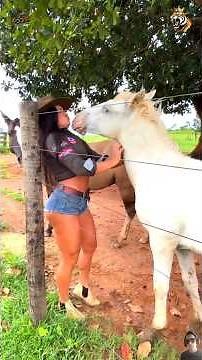 No Words… Just Pure Love ❤️ The Most Emotional Animal Moments Part 4 Animals & Humans