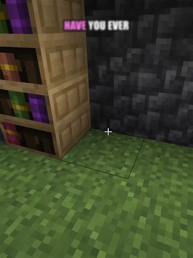 Have you ever been griefed on a minecraft server? Never again! #minecraft #smp