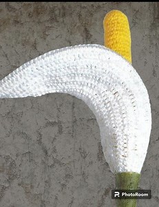 Crochet Calla PDF Pattern Instructions - Etsy Canada