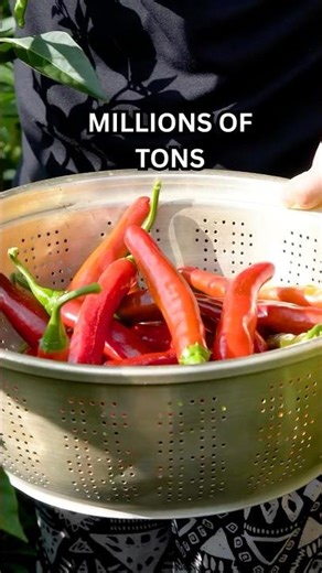 This Looks Like Snow — But It’s Food From Space