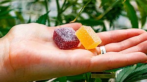 How to Make Homemade Immunity Gummies To Help Fight Illnesses