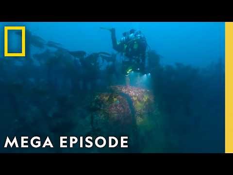 Secrets of the Deep | Drain the Oceans MEGA Episode | National Geographic
