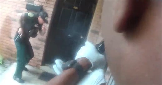 Caught on video: Florida deputy accidentally shoots homeowner, authorities say