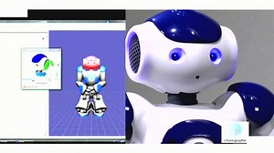 Humanoid robot Nao shows off its skills