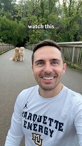 269K views · 13K reactions | The 7 types of dog hugs 殺 | Ellie Golden Life | Facebook