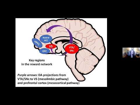 Using Neuroscience to Develop New Brain-based Treatments for Bipolar Disorder