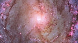 A mere 15 million light-years away, the Southern Pinwheel galaxy is ablaze with star formation. A mosaic of Hubble Space Telescope images reveals dark spiral dust lanes lined with clusters of young stars lighting up pink clouds of hydrogen gas. Hundreds of thousands of bright blue stars shine where the gas has been cleared out by stellar winds. Older stars appear yellow or orange, because the young blue stars have already burned out. Credit: NASA, ESA, and the Hubble Heritage Team (STScI/AURA). 