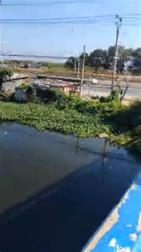 This time, I'm cleaning the net after casting it. #castingnets #catchingfish