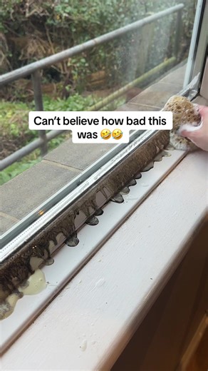 Satisfying Clean with Me: ASMR Cleaning Experience