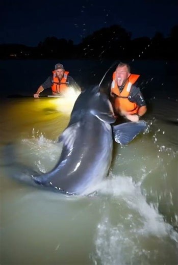 This Catfish Fight Will Shock You #fishing #wildlife #extreme