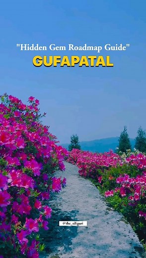 "Comment 'location' and the complete road map to Gufapatal will be sent to your DM." . . . . .. . . . . #gufapatal #gufapatalviewpoint #siliguri #thesiliguri #siliguricollege | The Siliguri