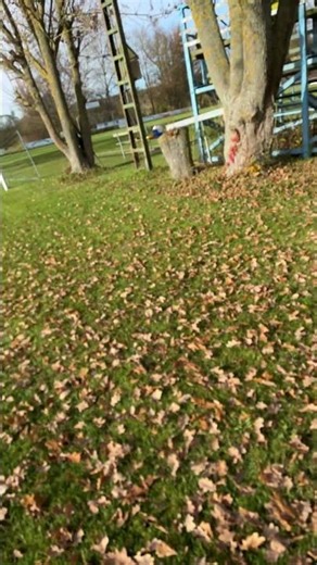 Schaut bitte vorbei und abonniert