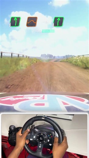 Crazy Save At 100mph…How Did We Manage That! | Dirt Rally 2.0 | Logitech G920 Gameplay #rally #short