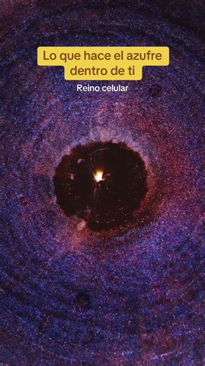 Reino celular y el poder del azufre