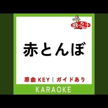赤とんぼ (カラオケ) (原曲歌手:山野さと子)