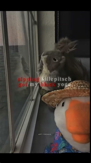 party at the beach ⛱️ song duck 🦆