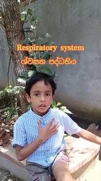Grade 1 Respiratory System for Kids | How We Breathe | Easy Science Lesson #Shorts