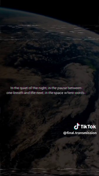 The Final Transmission (@final.transmission)’s videos with original sound - The Final Transmission